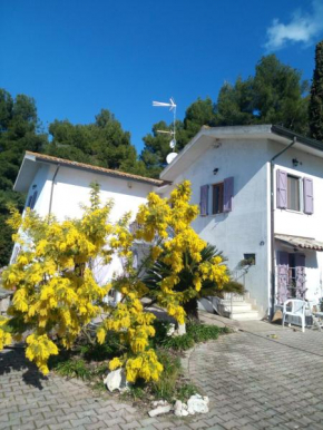 bb delcondotto Ancona
